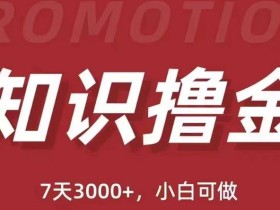 抖音知识撸金项目:简单粗暴日入1000+执行力强当天见收益(教程+资料)