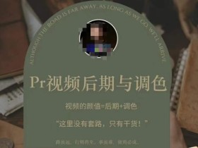 Pr视频后期与调色,视频颜值=后期+调色,这里没有套路,只有干货!