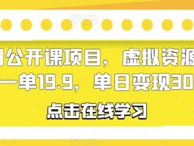 幼儿园公开课项目,虚拟资源变现,一单19.9,单日变现300