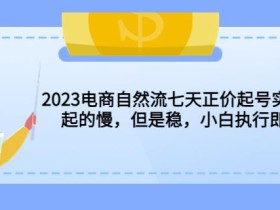 2023电商自然流七天正价起号实战课:起的慢,但是稳,小白执行即可!