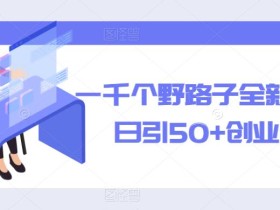 一千个野路子全新玩法,日引50+创业粉【揭秘】