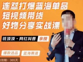 网红叫兽·连怼打爆蓝海单品,短视频带货好物分享实战课