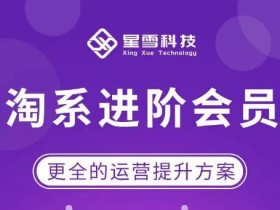 星雪·淘系进阶课程,快速提升突破技能流量瓶颈必备(更新2023年5月)