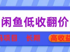 闲鱼低收翻价数码暴利项目,长期高收益【揭秘】