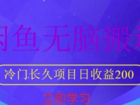 闲鱼无脑搬运,冷门长久项目,日收益200【揭秘】
