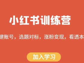 小红书训练营,搭建账号,选题对标,涨粉变现,看透本质