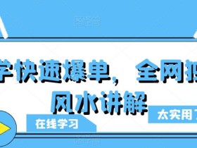 玄学快速爆单,全网独创风水讲解