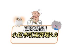 小红书最新引流变现教程,全网最新最详细的视频教程以及素材