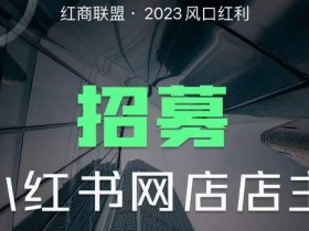 红商联盟·小红书无货源电商1.0,0粉丝无需囤货,小白也可以轻松上手的无货源项目