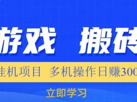 游戏挂机挂机项目,多机操作,日赚300【揭秘】