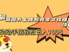 最新国外共享赚钱项目,动动手指轻松日入100$【揭秘】
