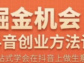 王泽旭·抖音创业方法论,抖音创业商业认知大课,一站式学会在抖音上做生意