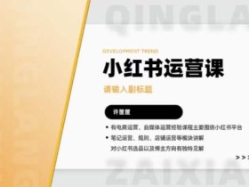 许筐筺·小红书运营课,笔记运营、规则、店铺运营等模块讲解,学会自己独立运营小红书账号