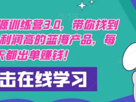 闲鱼无货源训练营3.0,带你找到竞争小,利润高的蓝海产品,每天都出单赚钱!(更新)