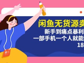 闲鱼无货源卖货:新手到痛点暴利出单,一部手机一个人就能操作(18节课)