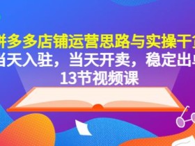 拼多多店铺运营思路与实操干货,当天入驻,当天开卖,稳定出单(13节课)
