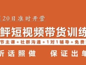 李鲆·短视频带货第16期,一部手机,碎片化时间,零基础也能做,听话照做,保证出单