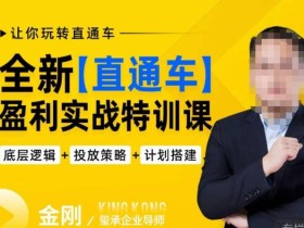 玺承·全新直通车盈利实战特训课,从底层逻辑详细拆解,从底层,策略到搭建,让你玩转直通车