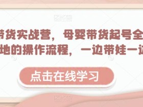 母婴带货实战营,母婴带货起号全流程,可落地的操作流程,一边带娃一边赚钱(附素材)