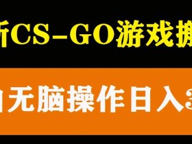 最新csgo游戏搬砖游戏,无需挂机小白无脑也能日入300+