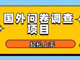 国外问卷调查项目,日入300+,在家赚美金【揭秘】