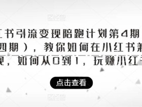 小红书引流变现陪跑计划|第4期(第三、四期),教你如何在小红书兼职变现,如何从0到1,玩赚小红书