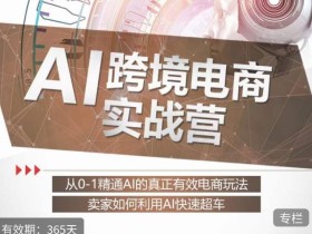 白龙老师·AI跨境电商实战营:从0-1精通Al的真正有效电商玩法,卖家如何利用Al快速超车