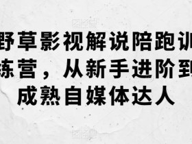 野草影视解说陪跑训练营,从新手进阶到成熟自媒体达人