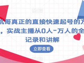 凯哥真正的直接快速起号的方法,实战主播从0人-万人的全程记录和讲解
