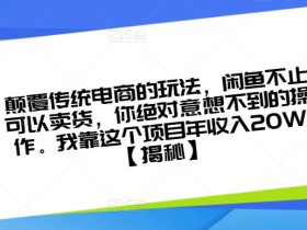 颠覆传统电商的玩法,闲鱼不止可以卖货,你绝对意想不到的操作。我靠这个项目年收入20W【揭秘】