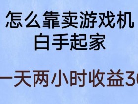 玩游戏项目,有趣又可以边赚钱,暴利易操作,稳定日入300+【揭秘】