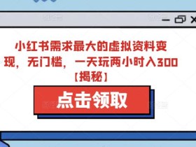 小红书需求最大的虚拟资料变现,无门槛,一天玩两小时入300+【揭秘】