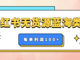 小红书无货源做蓝海类目【每单利润50-200+】,单月轻松过万【揭秘】