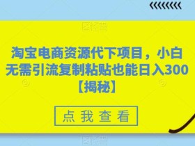 淘宝电商资源代下项目,小白无需引流复制粘贴也能日入300+【揭秘】