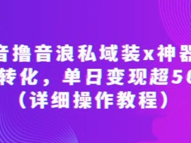 抖音撸音浪私域装x神器二次转化,单日变现超500(详细操作教程)【揭秘】
