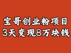 宝哥IP图文创业粉引流项目实战分享:单个账号3天涨粉1万,变现8万块钱(图文教程)【揭秘】