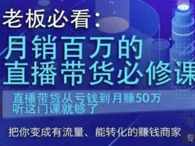 老板必看:月销百万的直播带货必修课,直播带货从亏钱到月赚50万,听这门课就够了