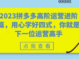 2023拼多多高阶运营进阶篇,用心学好四式,你就是下一位运营高手