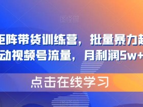 视频号矩阵带货训练营,批量暴力起号,撬动视频号流量,月利润5w+