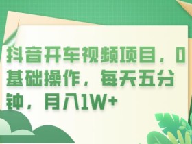 抖音开车视频项目,0基础操作,每天五分钟,月入1W+【揭秘】