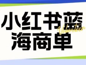 价值2980的小红书商单项目暴力起号玩法,一单收益200-300(可批量放大)