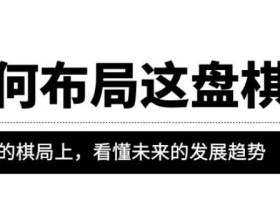 某公众号付费文章《如何布局这盘棋》在浩瀚的棋局上,看懂未来的发展趋势