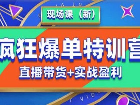 抖音短视频疯狂爆单特训营现场课(新)直播带货+实战案例