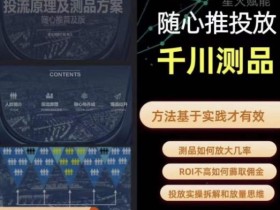 爱做号的老王·随心推+千川投流,投放实操拆解和放量思维,投流原理、千川测品