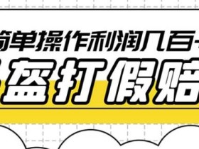 最新头盔打假赔付玩法,一单利润几百+(仅揭秘)
