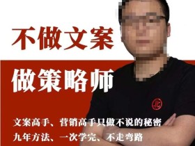 不做文案做策略师《策略师内训课》,北部蓝天抖音同款福利课