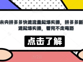 未央拼多多快速流量起爆实操,拼多多新品快速起爆实操,看完不走弯路
