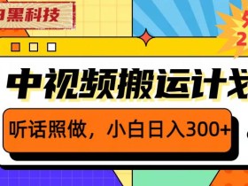 外面卖2980元2023黑科技操作中视频撸收益,听话照做小白日入300+