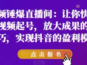 短视频锤爆直播间:让你快速学会短视频起号,放大成果的爆量技巧,实现抖音的盈利模型