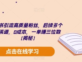 小红书引流高质量粉丝,后续多个变现渠道,0成本,一单赚三位数【揭秘】